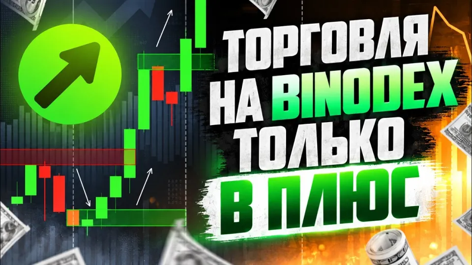 Трейдинг что лучше для новичков и почему стоит выбрать Binodex